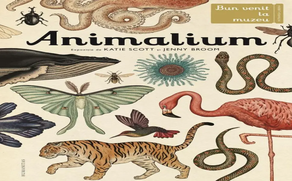 Atelier Animalium - evolutia explicata copiilor