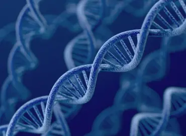 Atelierele de biochimie GeneEd
