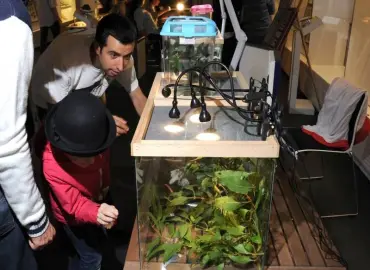 Noaptea cercetătorilor la Muzeul Antipa