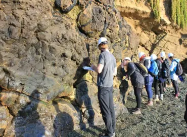 Vizite gratuite la Muzeul de Geologie
